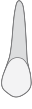 d11