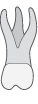 da